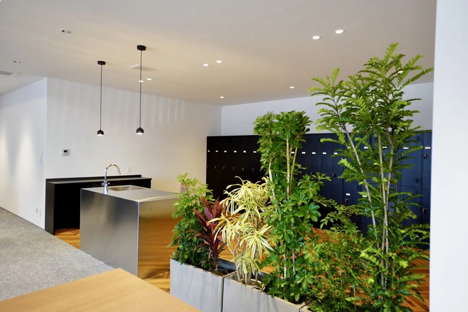 コンプケアのオフィス内観。観葉植物に囲まれた開放的な休憩スペースとキッチン